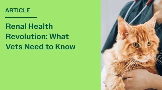 Renal Dysfunction in Dogs and Cats: Early Detection, Nutrition, and Whole-Body Support Image https://4990772.fs1.hubspotusercontent-na1.net/hubfs/4990772/Group%207213@2x-1-1-1.jpeg 1 
